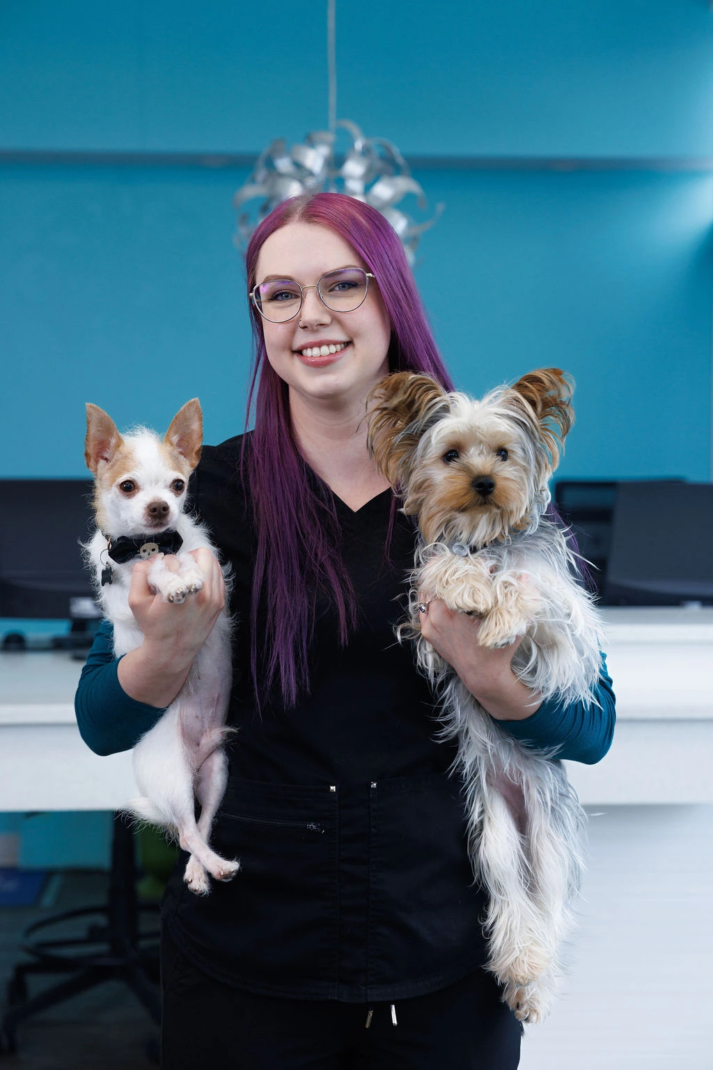 Lauren holding a Chihuahua and a Yorkshire terrier