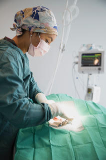 Close crop of a surgeon’s gloved hands at work