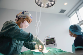 Dr. Rowe performing soft tissue surgery in the operating room